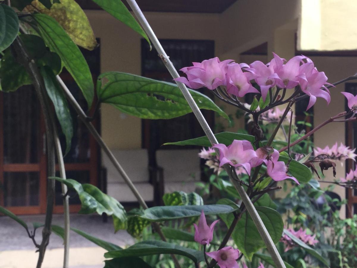 Tangkoko Sanctuary Villa Bitung Zewnętrze zdjęcie