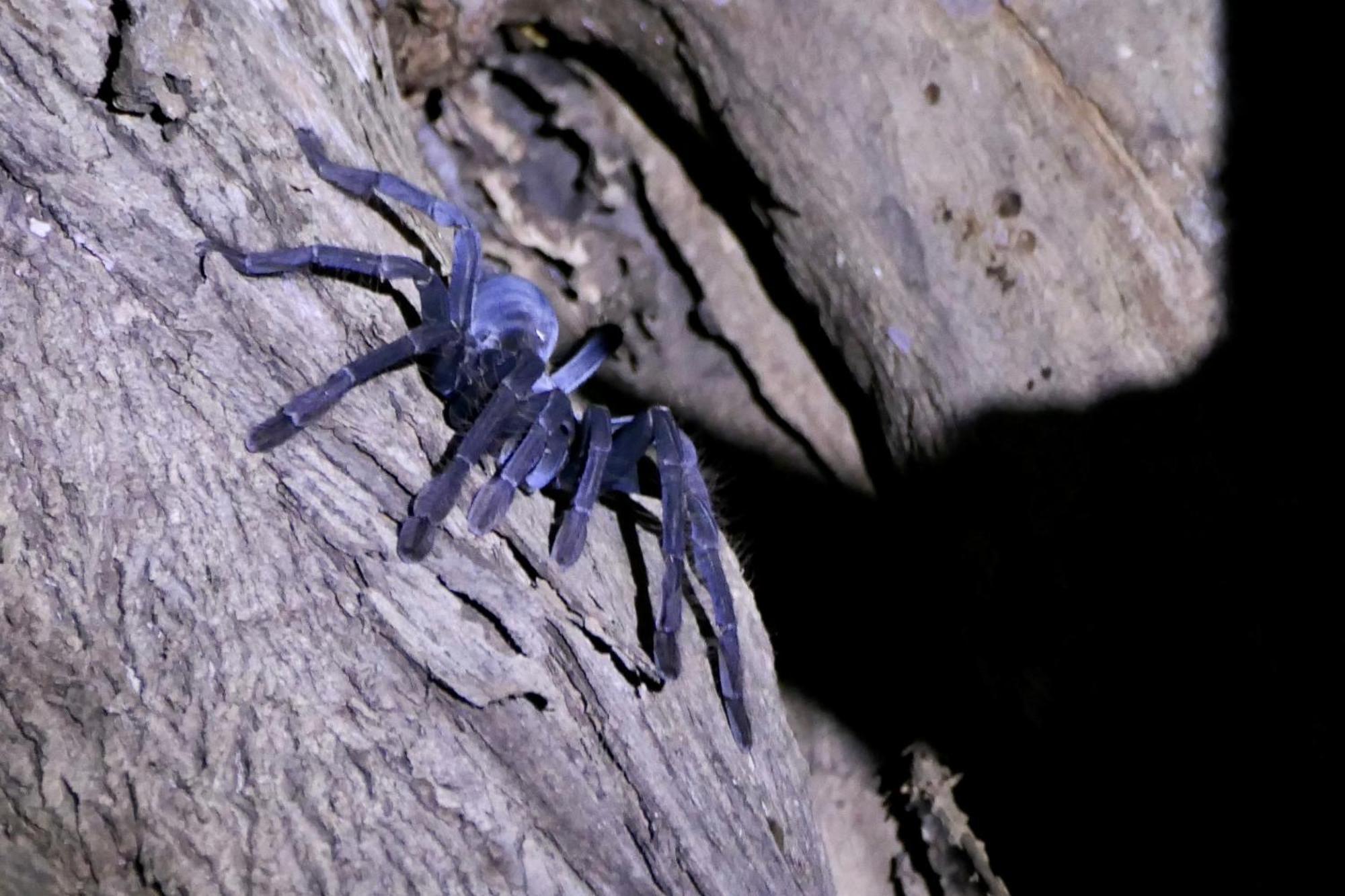 Tangkoko Sanctuary Villa Bitung Zewnętrze zdjęcie