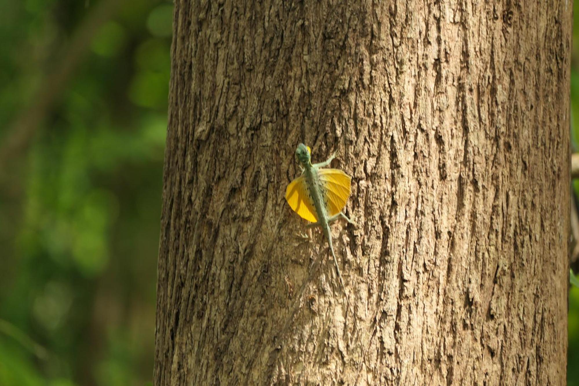 Tangkoko Sanctuary Villa Bitung Zewnętrze zdjęcie