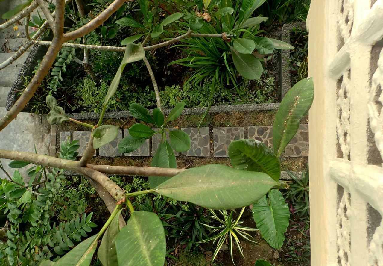 Tangkoko Sanctuary Villa Bitung Zewnętrze zdjęcie