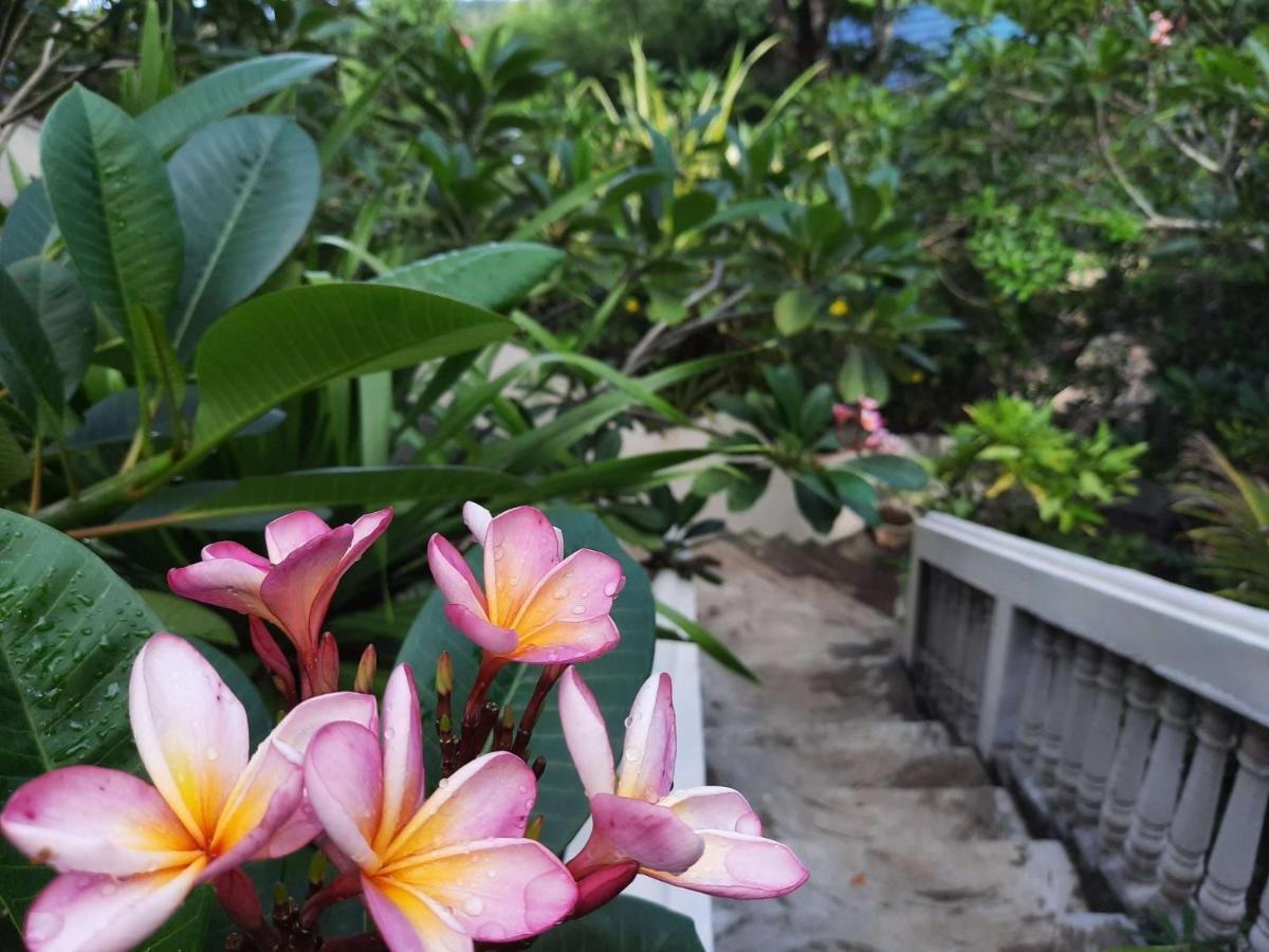Tangkoko Sanctuary Villa Bitung Zewnętrze zdjęcie